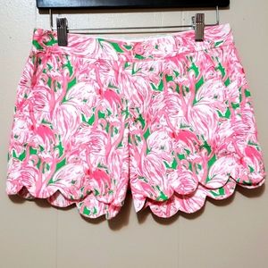 Lilly Pulitzer Shorts Buttercup Scallop Hem
